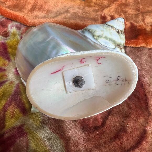 Antique Victorian Carved Shell Fish Bowl String Holder Basket Curio Salt Cellar - Picture 6 of 10